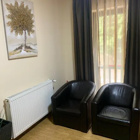 Hotel Pensiunea Mario